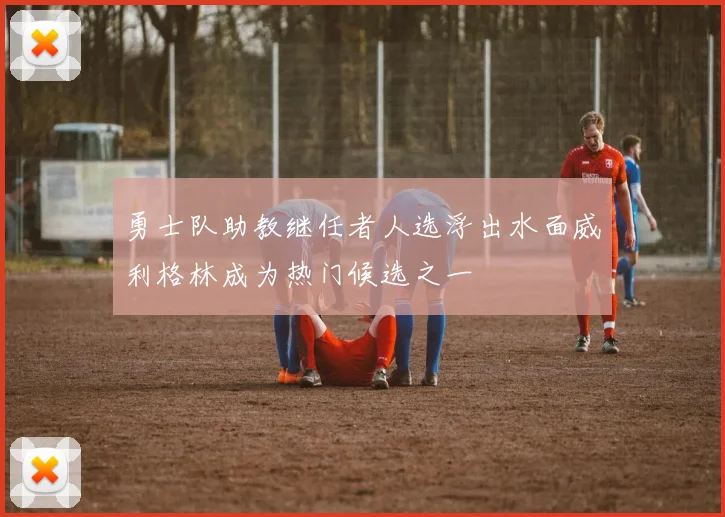 勇士队助教继任者人选浮出水面威利格林成为热门候选之一